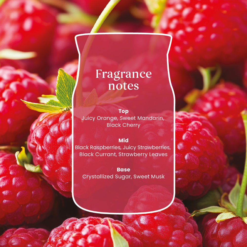 Yankee Candle Red Raspberry Small Signature Jar Candle
