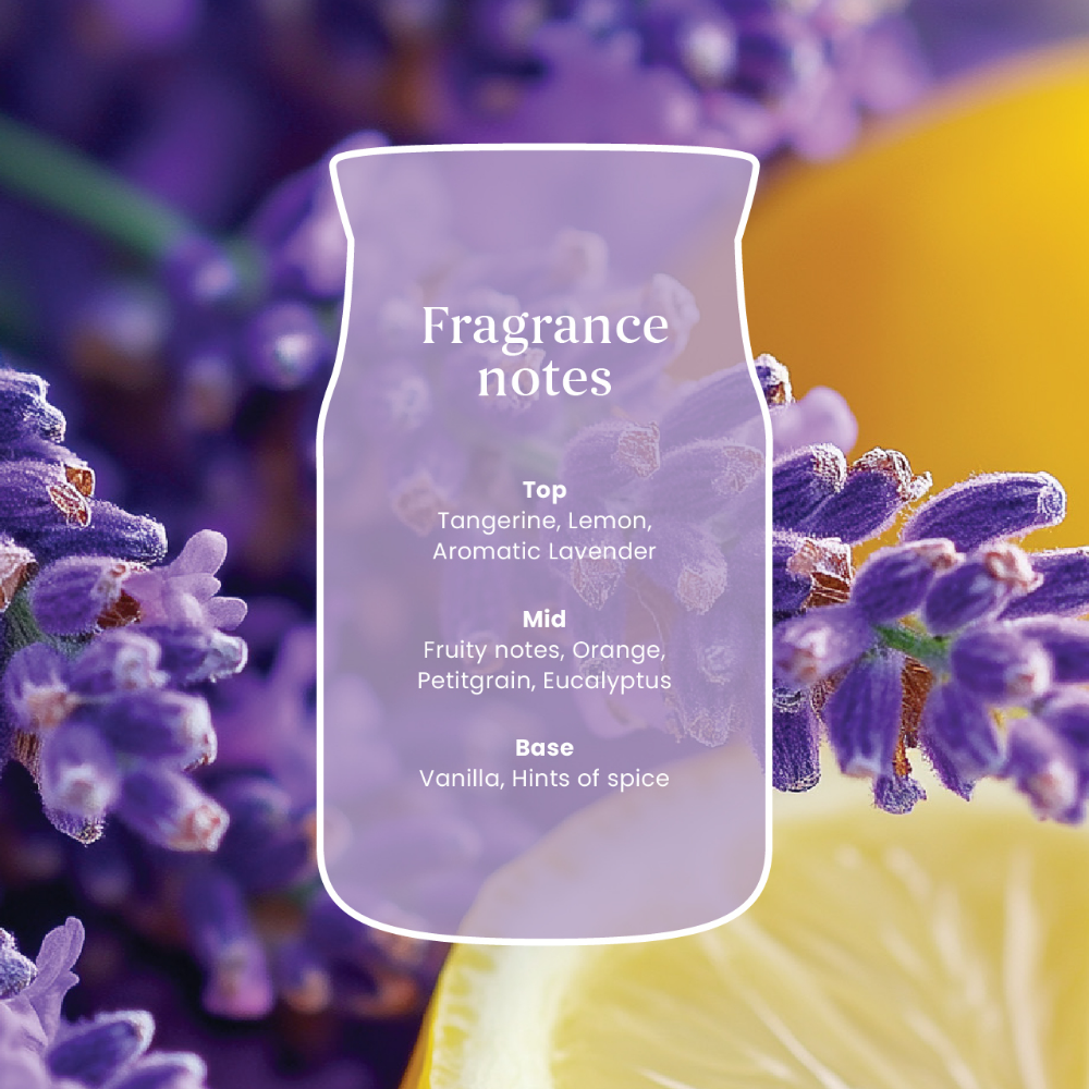 Yankee Candle Lemon Lavender Small Signature Jar Candle