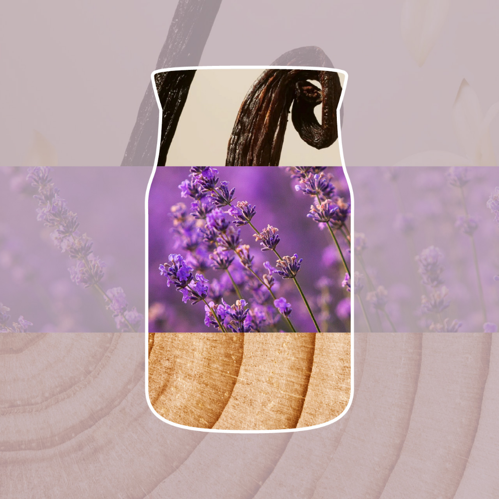 Yankee Candle Dried Lavender & Oak Medium Signature Jar Candle