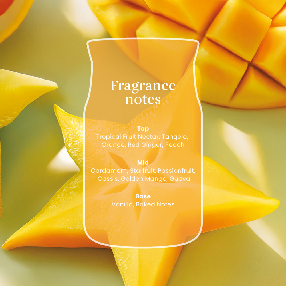 Yankee Candle Starfruit & Sunshine Large Signature Jar Candle