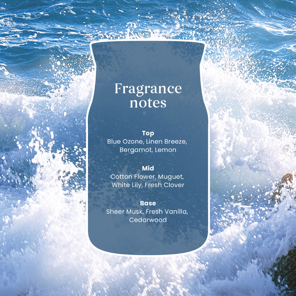 Yankee Candle Ocean Air Large Signature Jar Candle