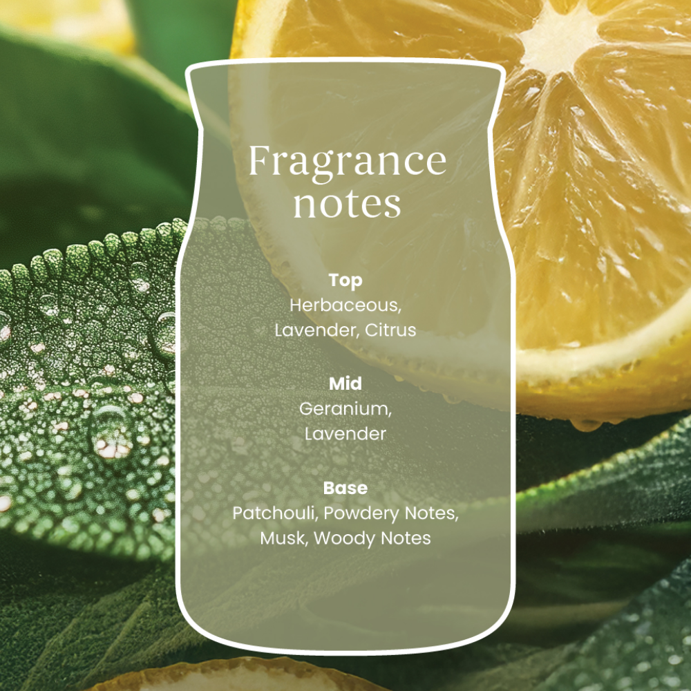 Yankee Candle Sage & Citrus Large Signature Jar Candle