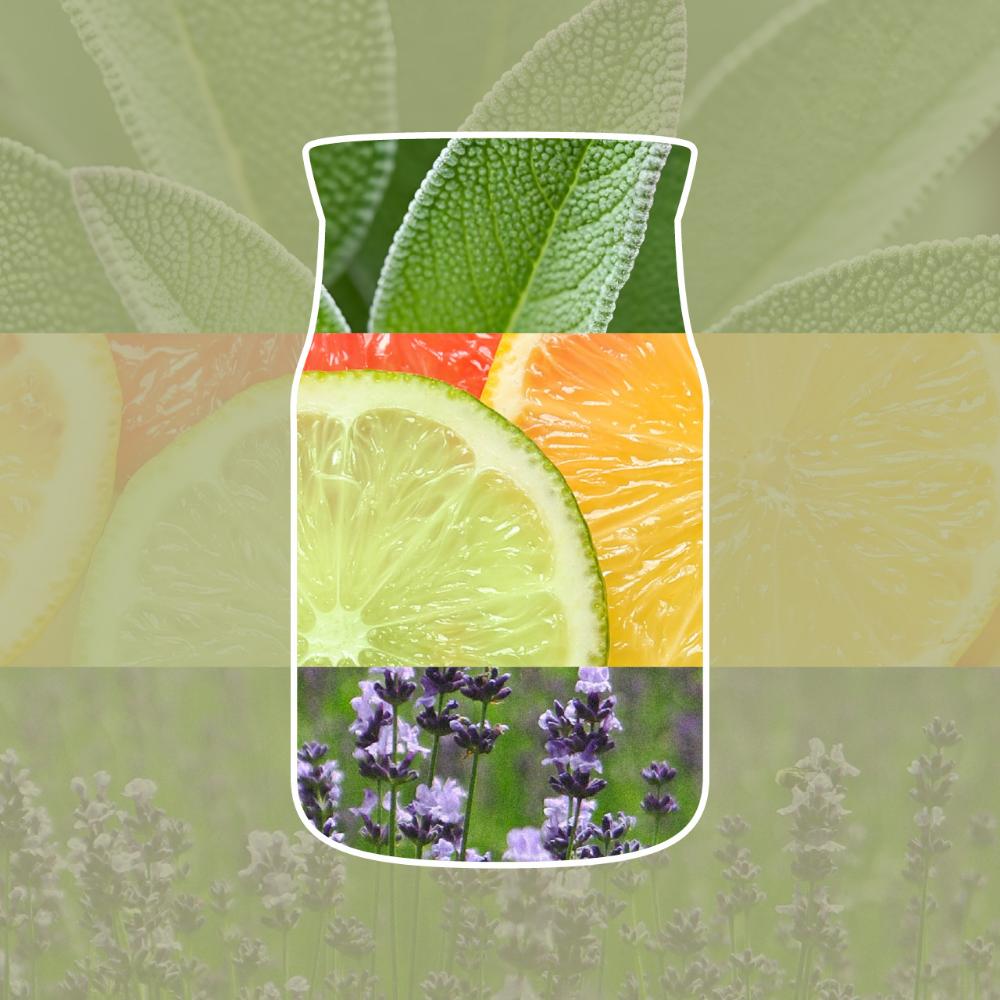 Yankee Candle Sage & Citrus Signature Reed Diffuser 100ml