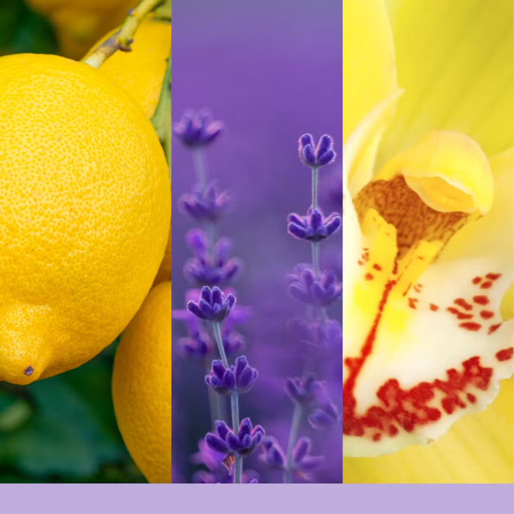 Yankee Candle Lemon Lavender Ultrasonic Aroma Oil 10ml