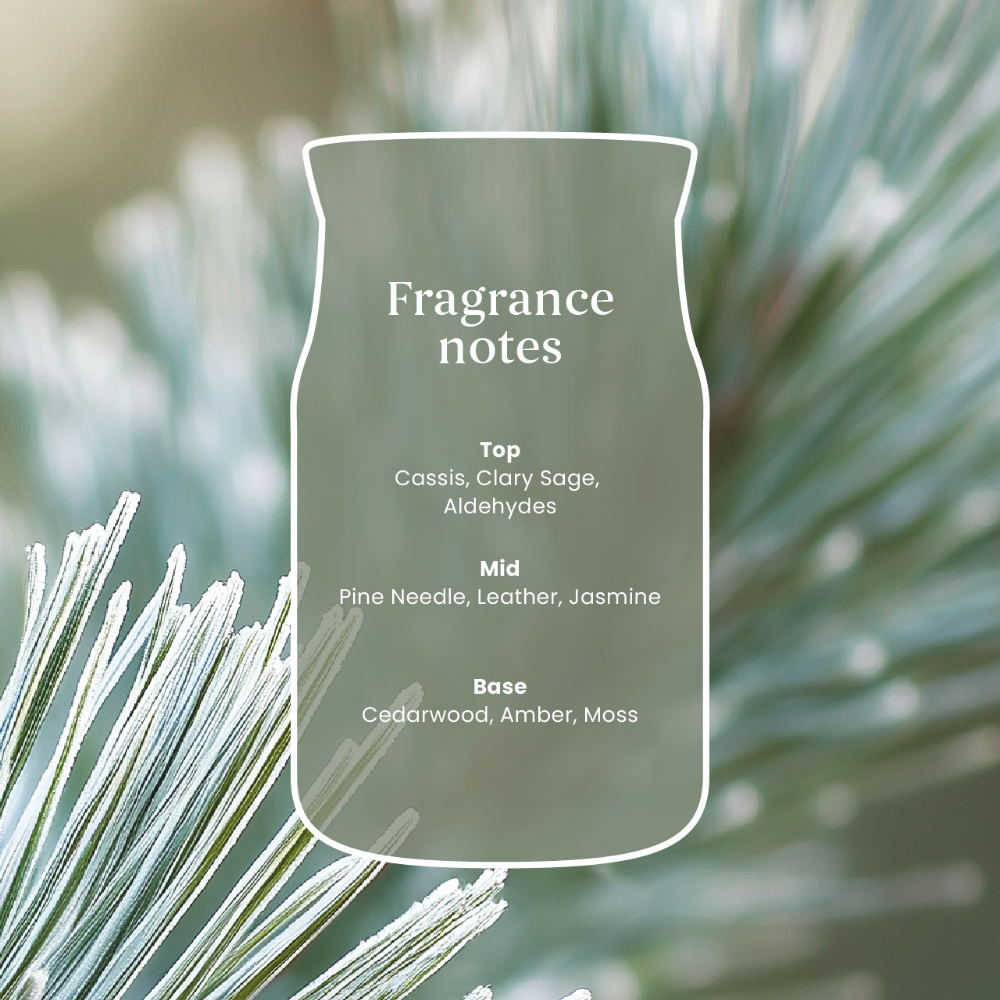 Yankee Candle Silver Sage & Pine Small Signature Jar Candle