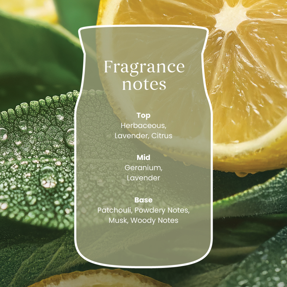 Yankee Candle Sage & Citrus Small Signature Jar Candle