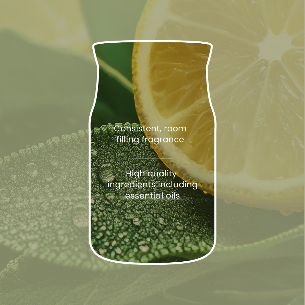 Yankee Candle Sage & Citrus Small Signature Jar Candle
