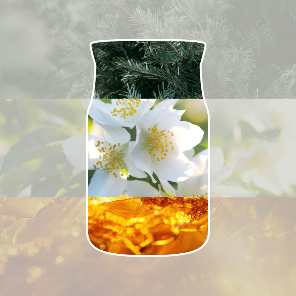 Yankee Candle Silver Birch Small Signature Jar Candle