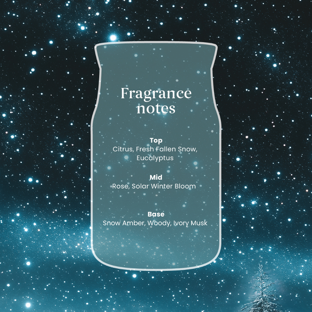 Yankee Candle Winter Night Stars Medium Signature Jar Candle