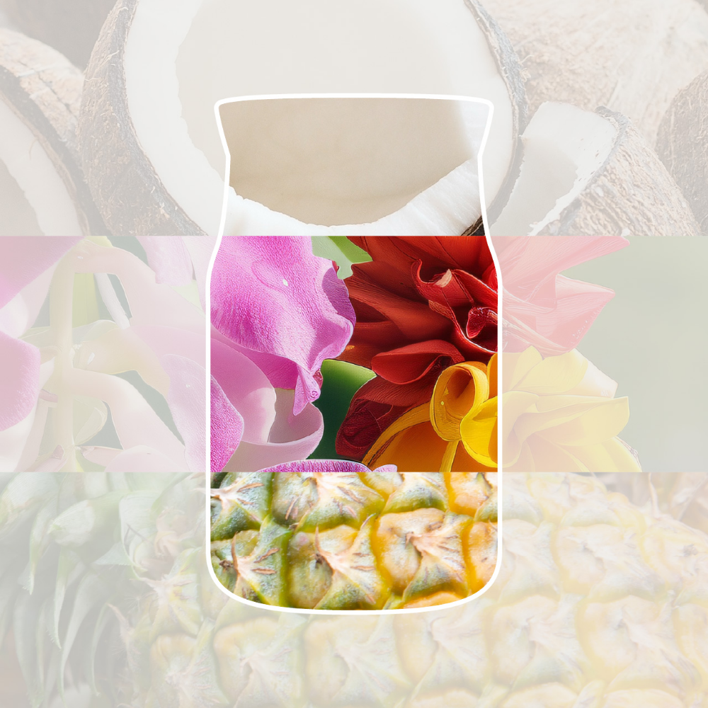 Yankee Candle Coconut Beach Medium Signature Jar Candle