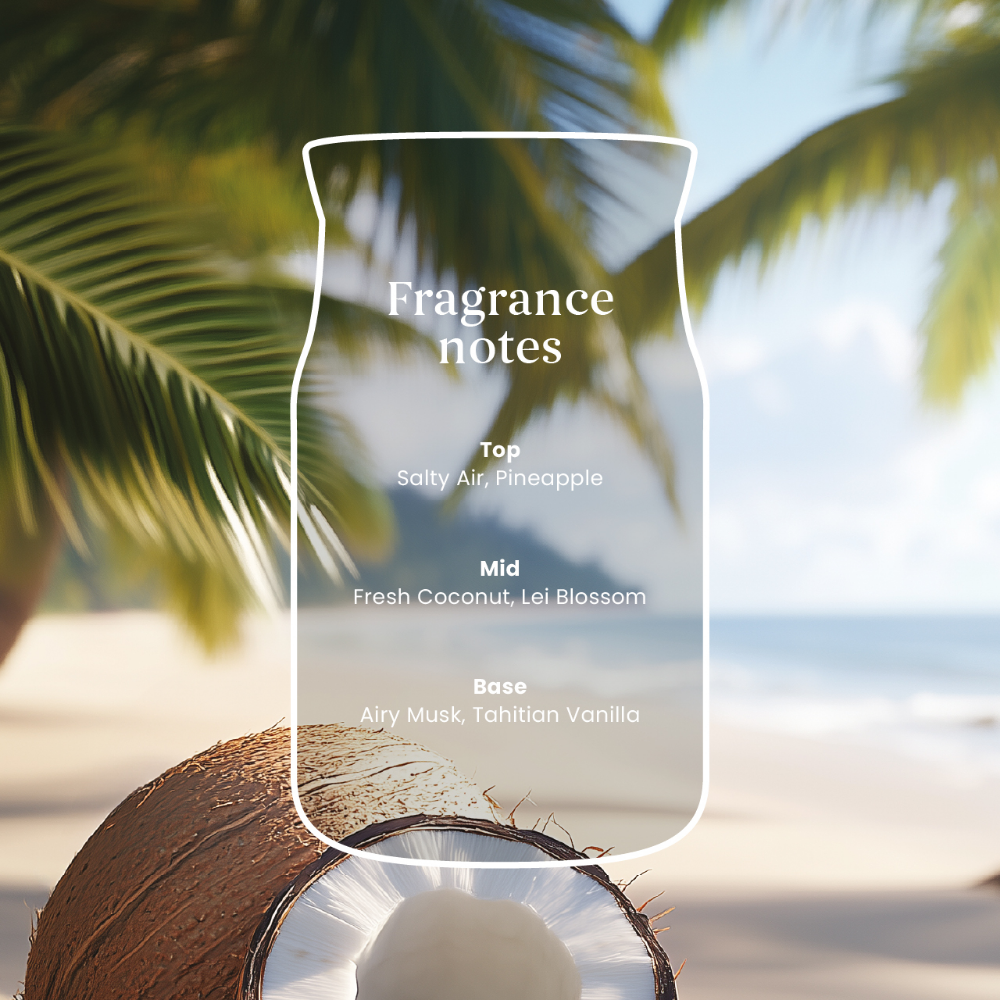 Yankee Candle Coconut Beach Medium Signature Jar Candle