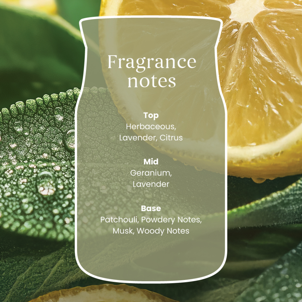 Yankee Candle Sage & Citrus Medium Signature Jar Candle