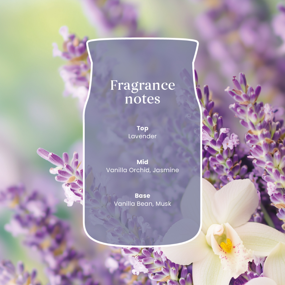 Yankee Candle Lavender Vanilla Medium Signature Jar Candle