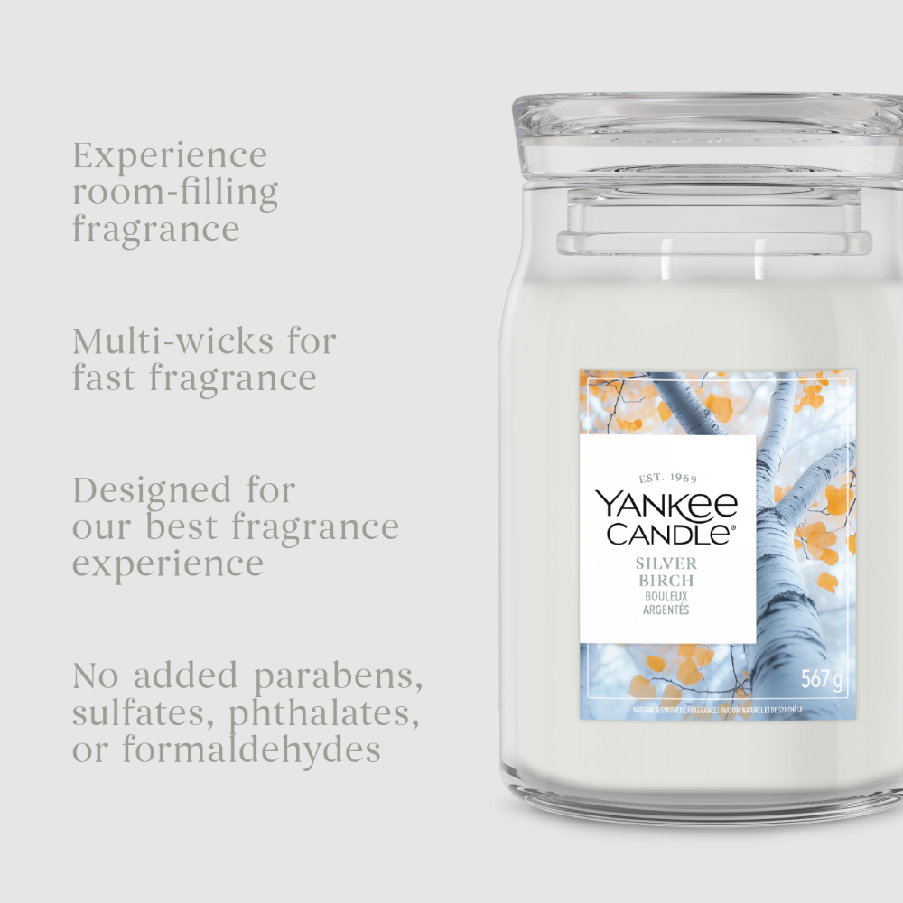 Yankee Candle Silver Birch Large Signature Jar Candle
