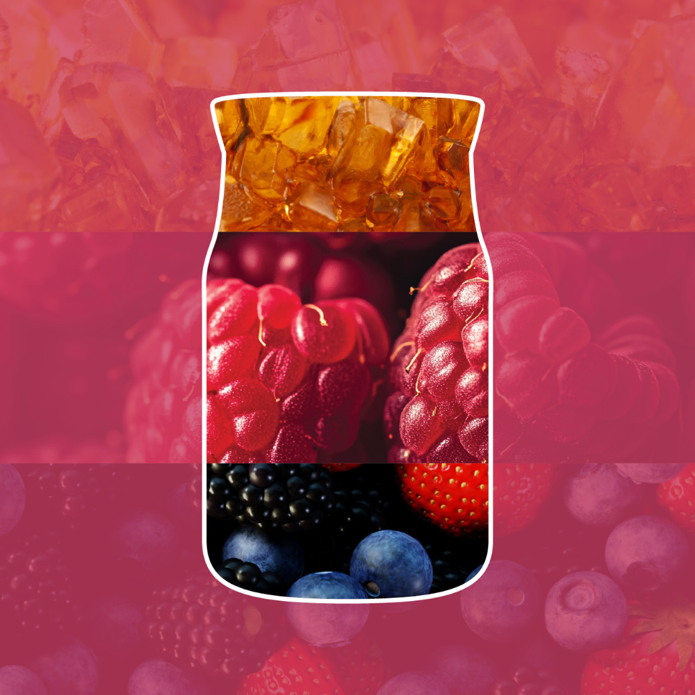 Yankee Candle Red Raspberry Large Signature Jar Candle