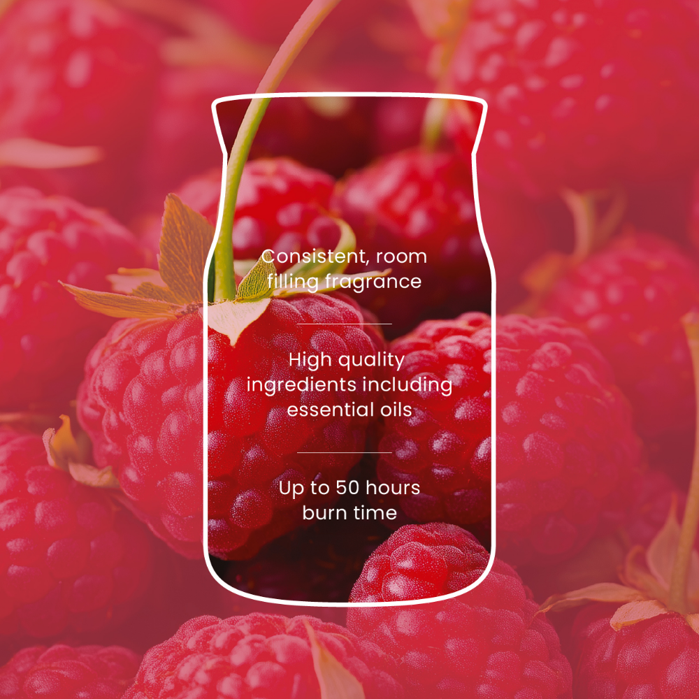 Yankee Candle Red Raspberry Large Signature Jar Candle