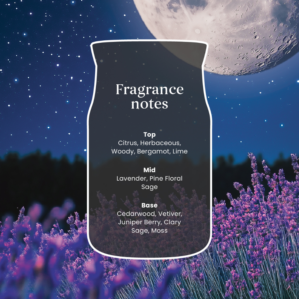 Yankee Candle Midsummer's Night Large Signature Jar Candle