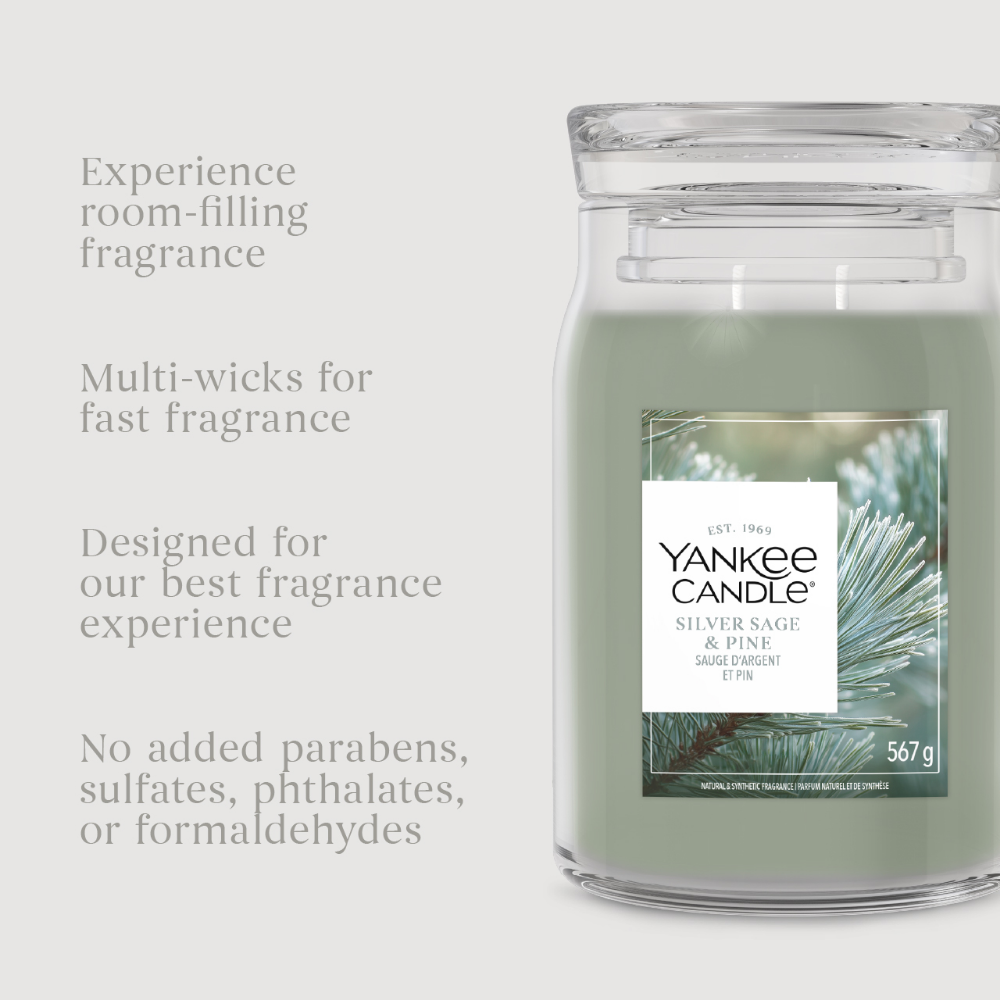 Yankee Candle Silver Sage & Pine Large Signature Jar Candle