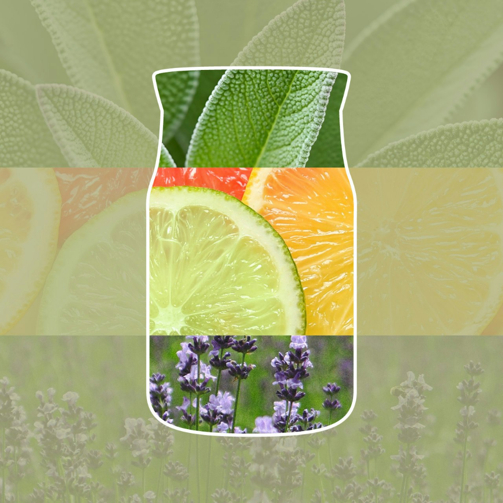 Yankee Candle Sage & Citrus Ultimate Car Jar Air Freshener